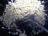 诱人的清炒豆芽做法图解6)