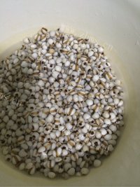 色味俱佳的薏米红豆粥做法图解2)