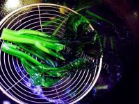 家常菜白灼菜心做法图解4)