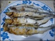 香煎多春鱼