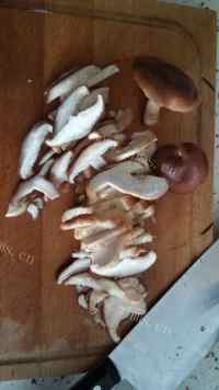 香菇肉馅饺子做法图解2)