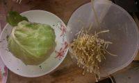 豆豉圆白菜炒粉条做法图解1)