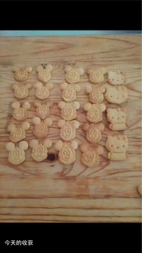 自制饼干
