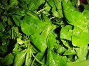 让人怀念的荠菜豆腐羹做法图解1)