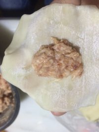 超好吃孜然鲜肉馄饨做法图解5)