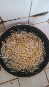 家常菜醋溜豆芽做法图解1)