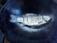 玉盘珍馐的豆腐鲫鱼汤做法图解5)
