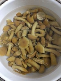 滑子菇炒小白菜做法图解2)