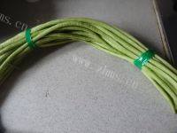 家常菜干煸豆角做法图解1)