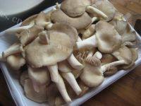家常菜蘑菇炒青菜做法图解1)