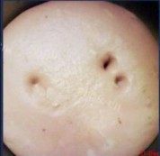 自制紫薯椰蓉面包做法图解4)