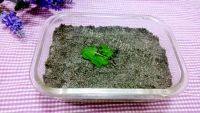 自制黑芝麻糊