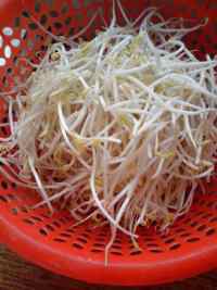 家常菜清炒绿豆芽做法图解1)
