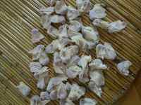 美味的小馄饨做法图解8)