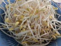 清炒黄豆芽做法图解2)