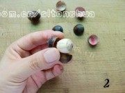 好喝的莲子心茶做法图解2)