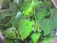 家常小菜蒜蓉豆角叶做法图解2)