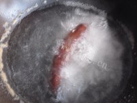 自制腊肠披萨做法图解3)