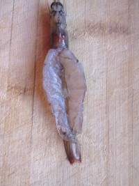 美味的蒜蓉开背虾做法图解3)