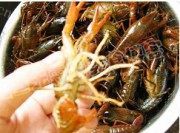 垂涎欲滴的蒜香小龙虾做法图解2)