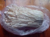 正宗金针菇煲老鸡做法图解6)