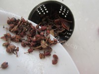 好吃的凉拌鸡胗做法图解3)