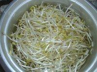 质嫩的素炒绿豆芽做法图解1)