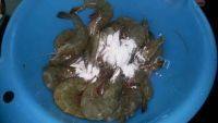 美味的番茄大虾做法图解2)