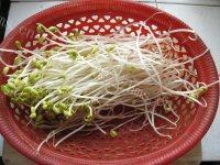 家常菜酸辣黄豆芽做法图解1)