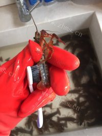 色香味俱全的麻辣小龙虾做法图解2)