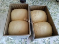 自制香橙吐司做法图解9)