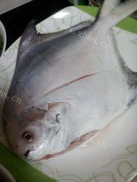 美味的家常红烧鲳鱼做法图解1)