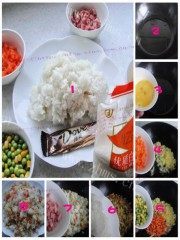 雪中梅花做法图解1)