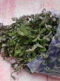 美味的荠菜鲜肉饺子做法图解1)