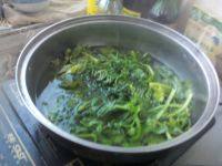 鲜香的凉拌芹菜叶做法图解5)