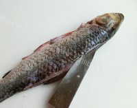 麻辣鲜花椒鱼片做法图解2)