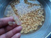 饱满的核桃豆浆做法图解2)