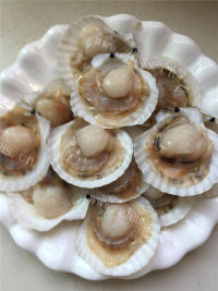 鲜香蒜蓉仔贝做法图解1)