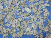 自己做的韭菜面片做法图解11)