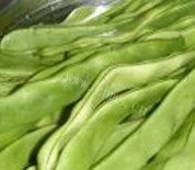 素炒芸豆丝做法图解1)