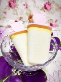 美味的牛奶冰棒