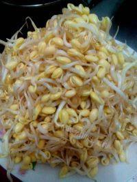 家常菜黄豆芽炒肉做法图解1)