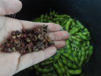 家常煮毛豆做法图解3)