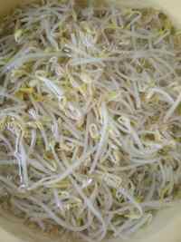 家常菜凉拌豆芽菜做法图解1)