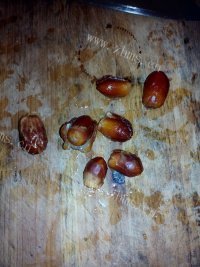 嫩滑的椰枣藕粉羹做法图解1)