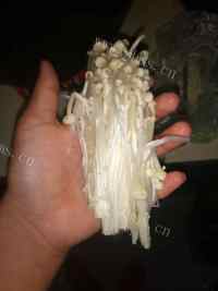 家常菜培根金针菇做法图解3)