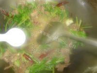 家常菜芹菜炒牛肉做法图解10)