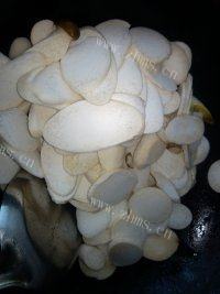 简单的清炒蘑菇做法图解4)