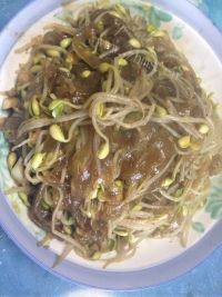 家常菜黄豆芽炖粉条