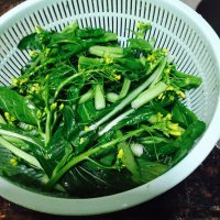 清淡的清炒菜心做法图解2)